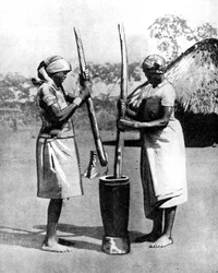 トウモロコシとキビを叩く 2 人のマショナ族の女性、ジンバブエ、アフリカ、1936 年。