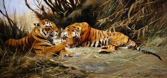 シベリアン・タイガー（Siberian Tigers