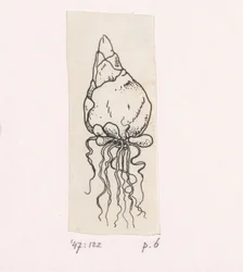 花の球根