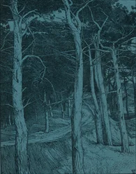 ウッドランド、c1912