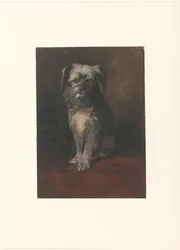 犬フィーバスの肖像