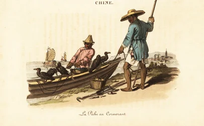 中国の漁師とその鵜