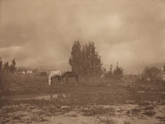 パサデナの風景」1899年
