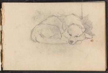 1879年頃の眠っている犬のスケッチ