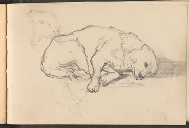1879年頃の眠っている犬のスケッチ