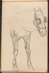 1879年頃のウインカー付き馬のスケッチ
