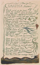 Songs of Innocence and of Experience, Placa 35, "Earth