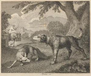 犬と狐