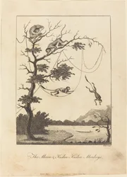 メクー＆キスビー・キッシー・モンキーズ、1793年。