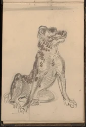 犬の肖像