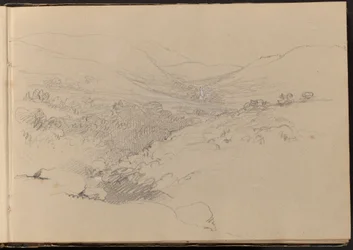 谷の情景