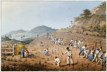 アンティグア島十景」より「大地の分断