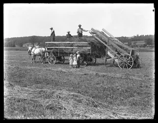 1913年頃、ペンシルベニア州クロフォード郡のマクレディ農場、3人の子供が見ているときに馬が引く干し草ワゴンに干し草を積んでいる農場労働者