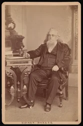 Sidney Breese 1800-1878のポートレート、1878年以前。