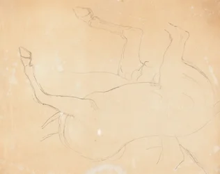 馬の習作 [裏面]
