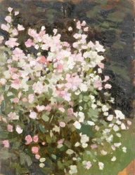 ピンクの花 1930年頃 油彩・キャンバス
