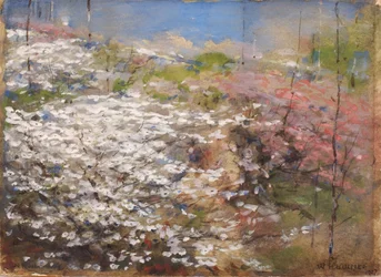 花の畑」1927年