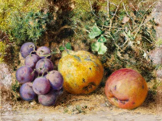 Black Grapes、Quince、and Newtown Pippin、1861（カードにトイレ）
