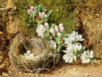リンゴの花と鳥の巣の枝