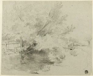 モグラについて