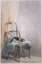 椅子に座る犬の習作（水彩・紙