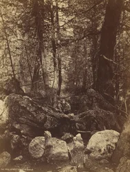 ウェストガラティンカノンの歩道c。 1870年代。