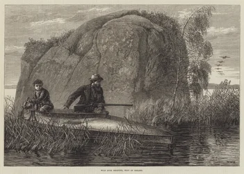 ワイルドダックシューティング、アイルランド西部の彫刻