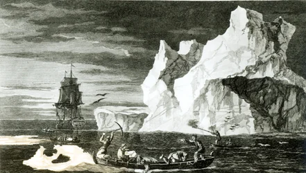 1777年2月31日、BTプーニーによって刻まれた1773年1月9日の氷島