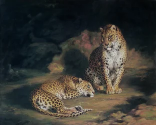 ヒョウのペア、1845