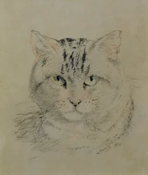 ぶち猫、1874年（紙に鉛筆、クレヨン、木炭）