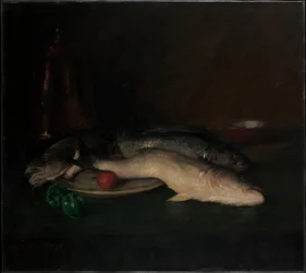 静止画です。魚