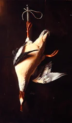 カサゴ