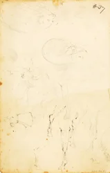 (図、丸太、馬と騎手など）。