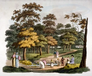 ロンドン、ウェストミンスターのハイド・パークにある「ディッピング」の井戸の眺め、1810年頃