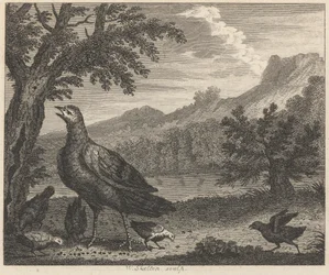 Turkki ja muurahainen