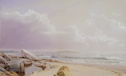 海岸