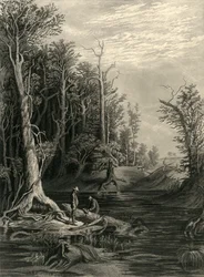The Chickahominy」1872年。  