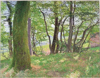 カーマーゼンシャーの午後