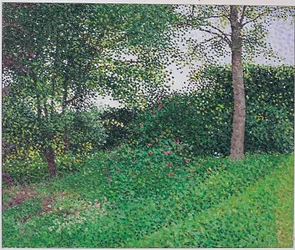 イブニングライト：ヤングアッシュ