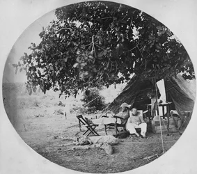 インドのジャングルでの暑い日、1860年頃