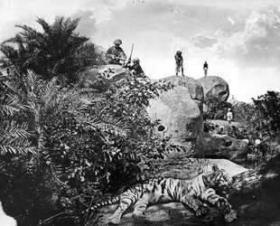 「袋詰め」-インドでの虎狩り、1870年代頃