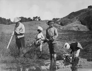 インド: タシギ猟、1870年