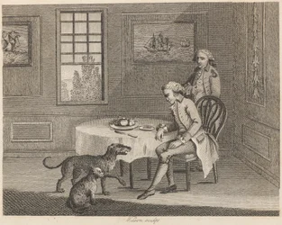 男と猫と犬とハエ
