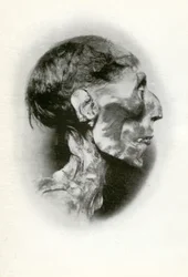ラメセス2世のミイラの頭、19王朝の古代エジプトのファラオ、紀元前1212年、紀元前1926年。