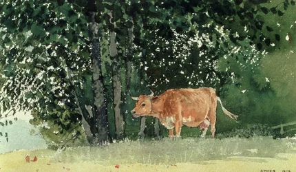 1878年の牧草地の牛