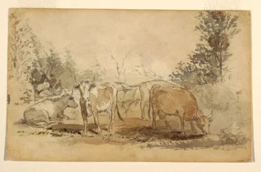 デッサン、牧草地で草を食む4頭の牛、1855-60年頃