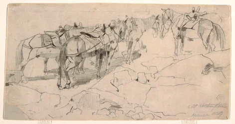 素描、「ワシントン山」と「ワシントン山頂」のための習作、1869年