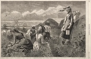 採集ベリー、1874。