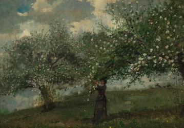 リンゴの花を摘む少女 1879年