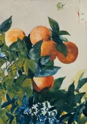 ブランチ上のオレンジ、1885